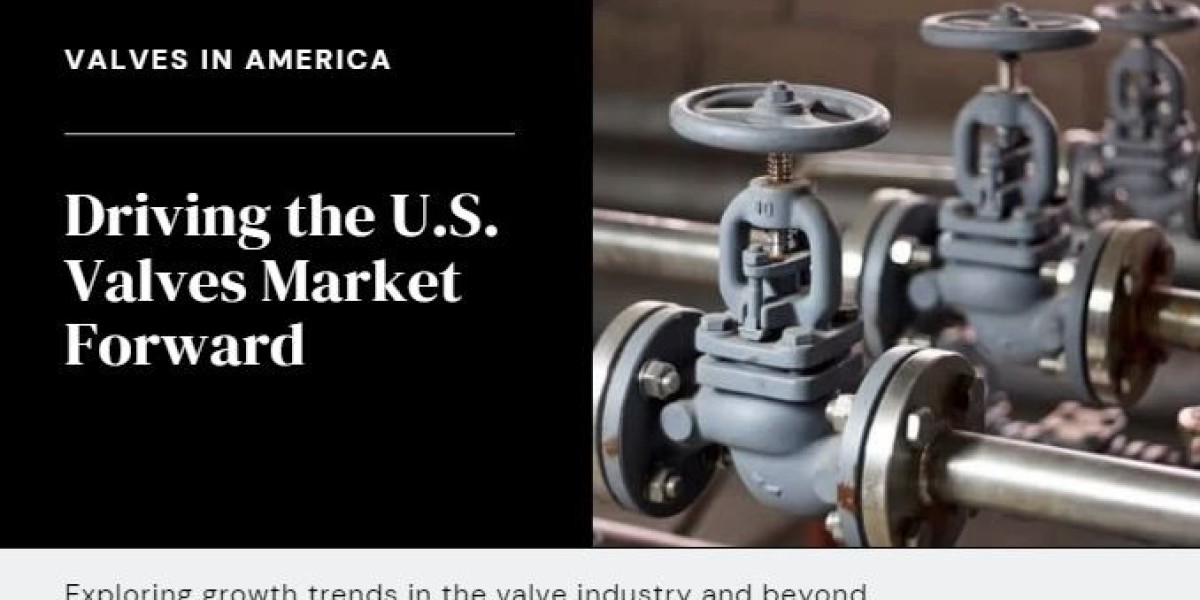 U.S. Valves Market Poised for Significant Growth, Projected to Reach $28.4 Billion by 2030