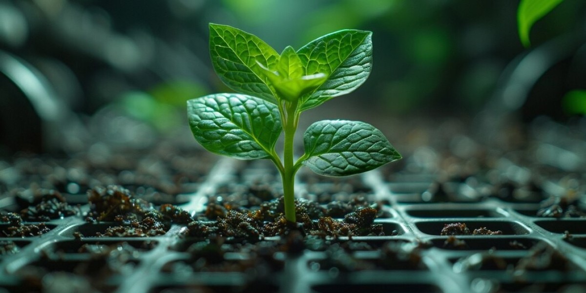 Bio Fungicides Market Insights: Growth Drivers, Trends, and Opportunities for Sustainable Agricultural Practices in 2025