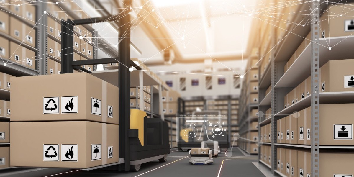 Warehouse Automation Market Insights: Strategic Opportunities in Evolving Logistics Infrastructure