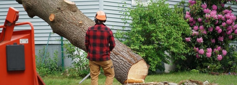 MyH20 tree removal services
