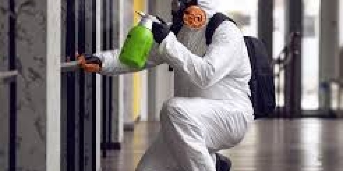 Fast and Reliable Mold Removal in Miami: Ensuring Safe Living Spaces