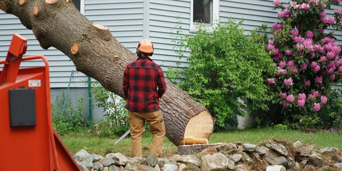 Emergency Tree Removal Service: Fast & Reliable Help