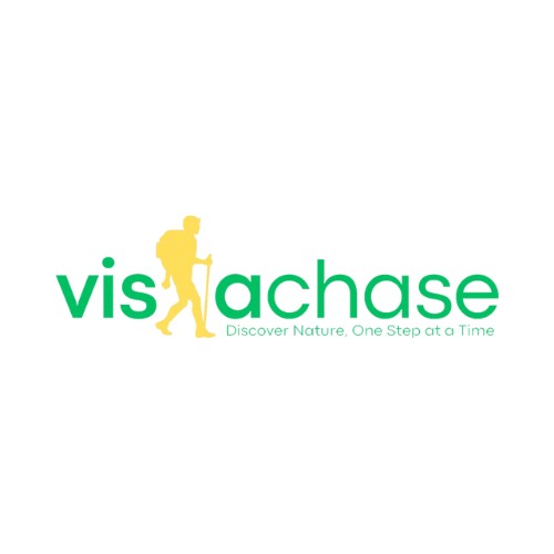 Vista Chase
