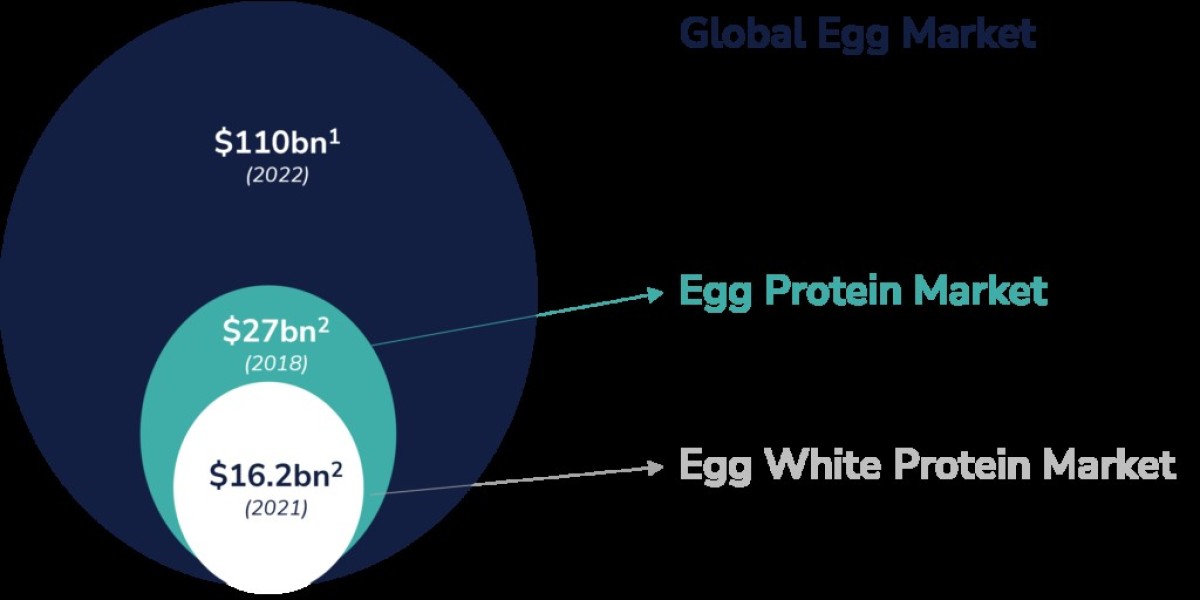 Egg Substitutes Market  Analysis, Size, Share, Growth, Trends, and Forecasts by 2031