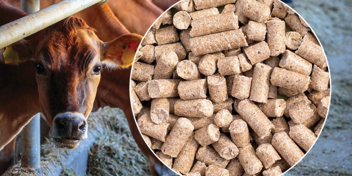 Cattle Feed Market Developments: Analyzing Regional Growth Patterns, Market Leaders, and Investment Opportunities