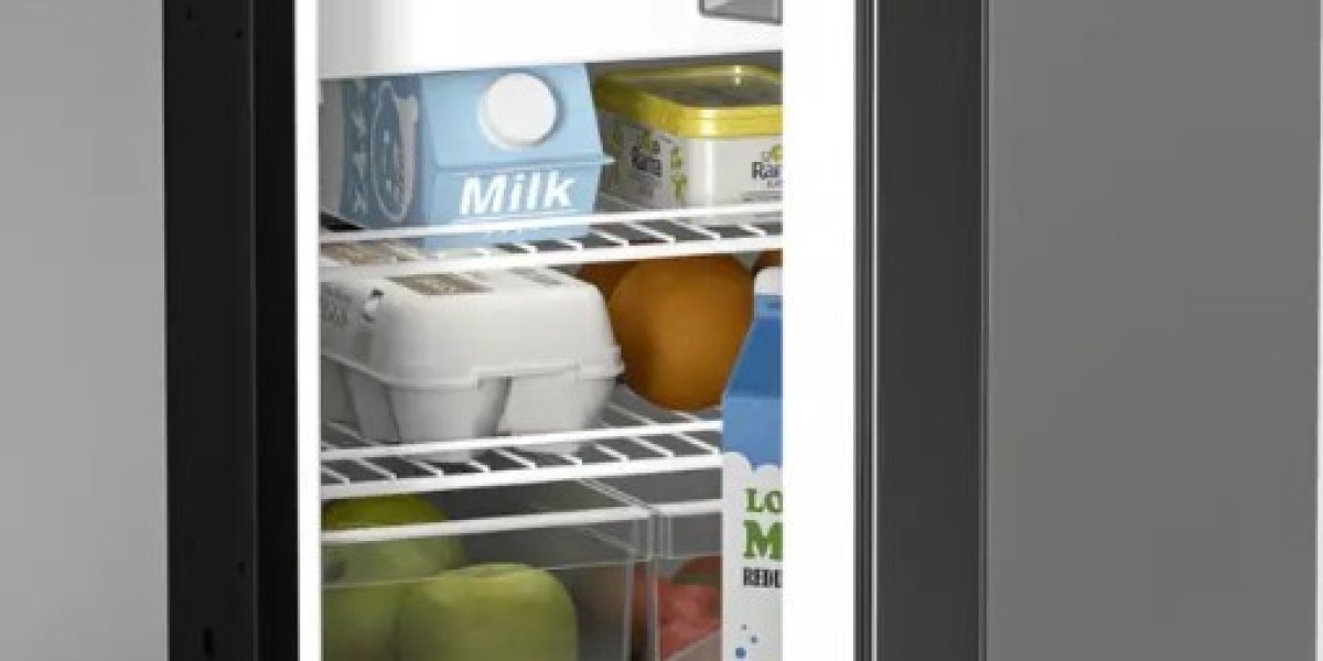 12V vs. Electric Portable Refrigerators: Which One is Best?