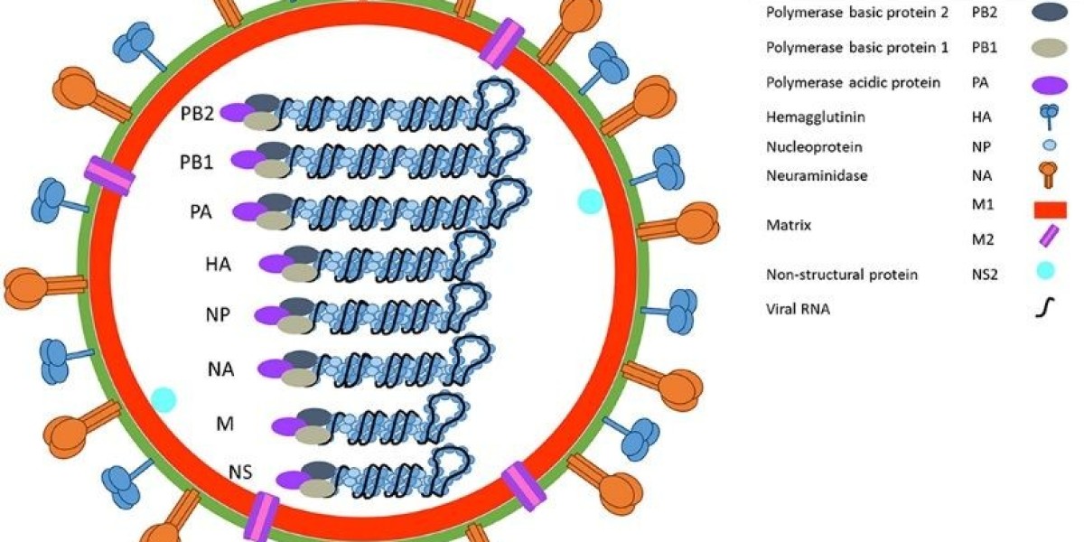 Creative Diagnostics Launches Advanced Influenza A Virus Mouse Models for Accelerated Research