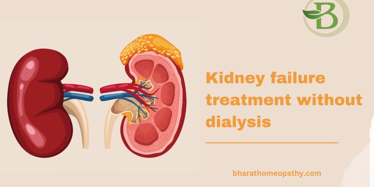 Learning the Types, Signs, and Holistic Treatments of Kidney Disease