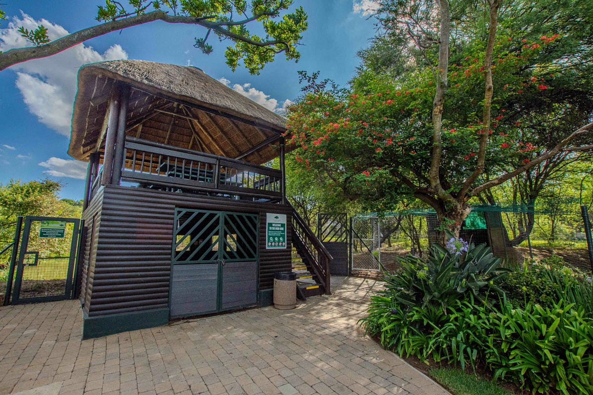 Key Benefits That Make Real Estate A Great Investment | by Fourways Gardens Residential Estate | Feb, 2025 | Medium