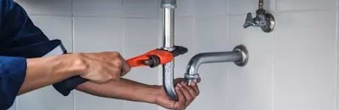 Daves Plumbing Rooter