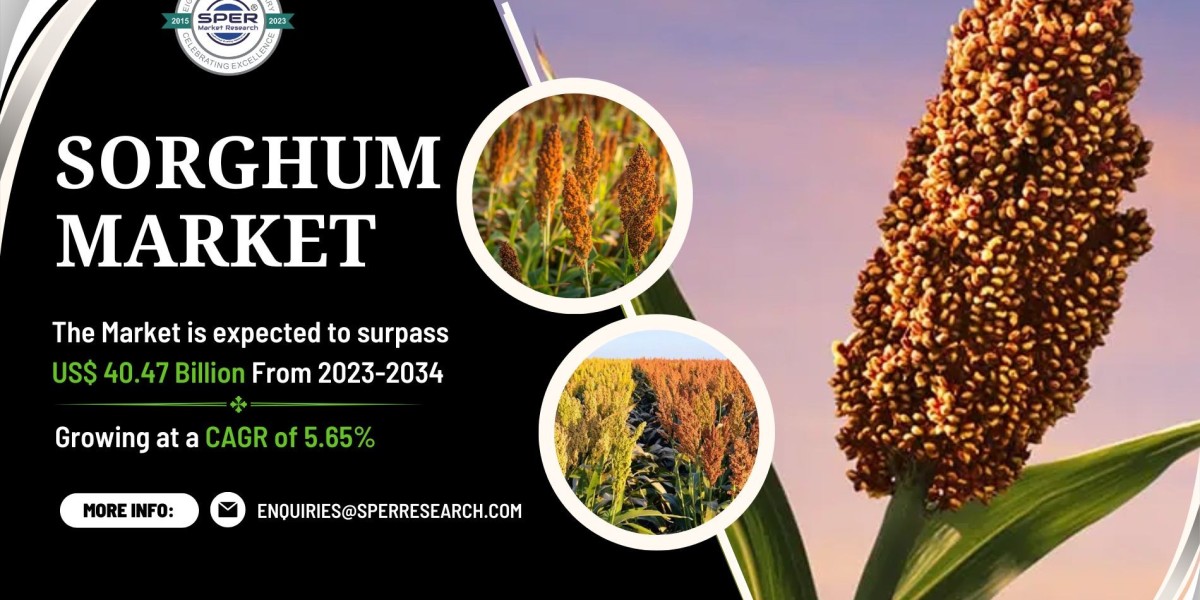 Sorghum Market Share, Size, Trends Analysis, Growth Drivers, Demand, Forecast 2034: SPER Market Research