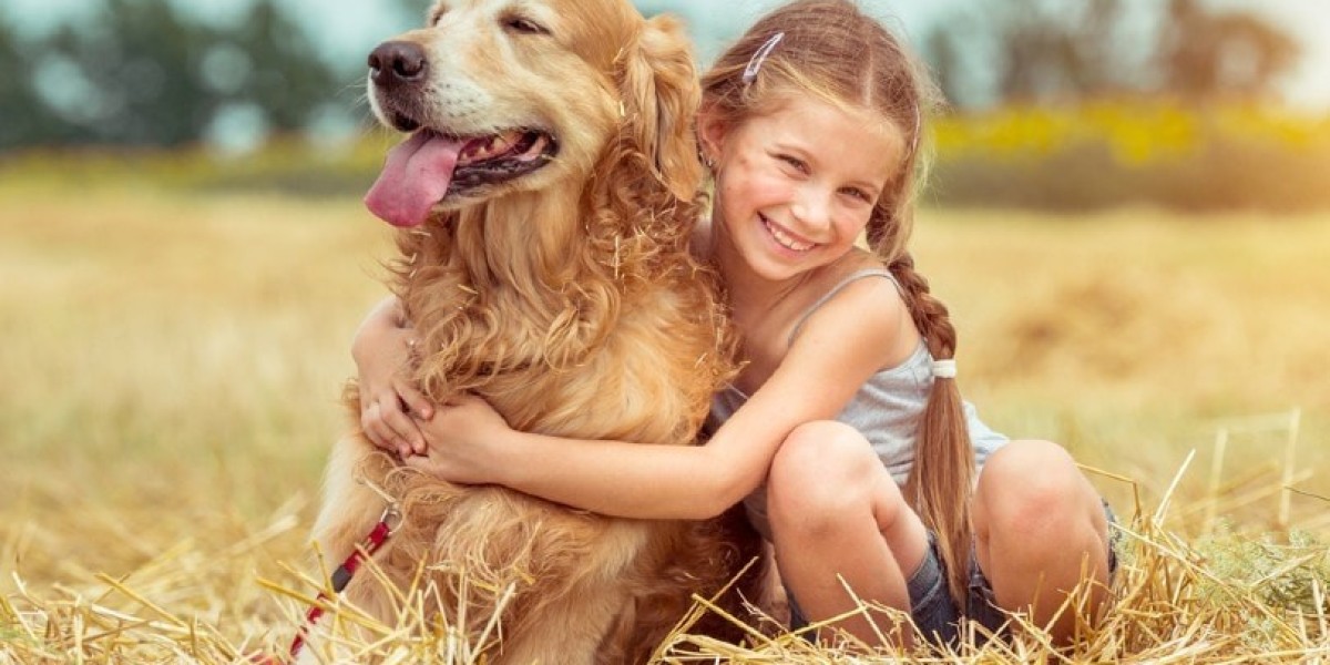 Golden Retriever Service Dogs for Kids: Are They a Good Fit?