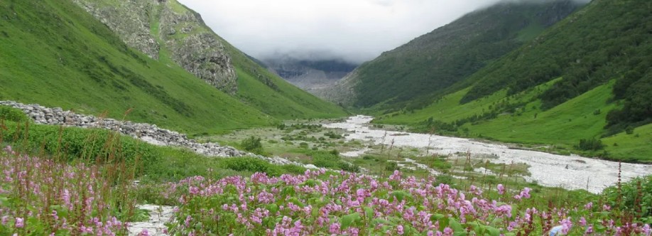 Valley Of Flowers