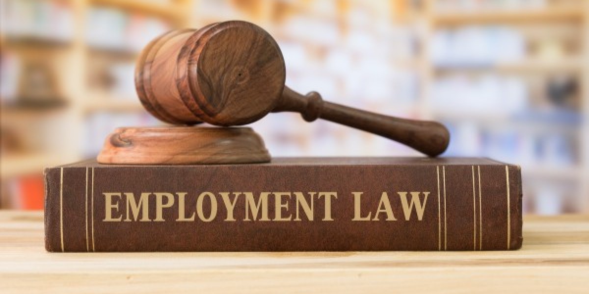 Employment Law Firm Edmonton: Ensuring Fair Treatment in the Workplace