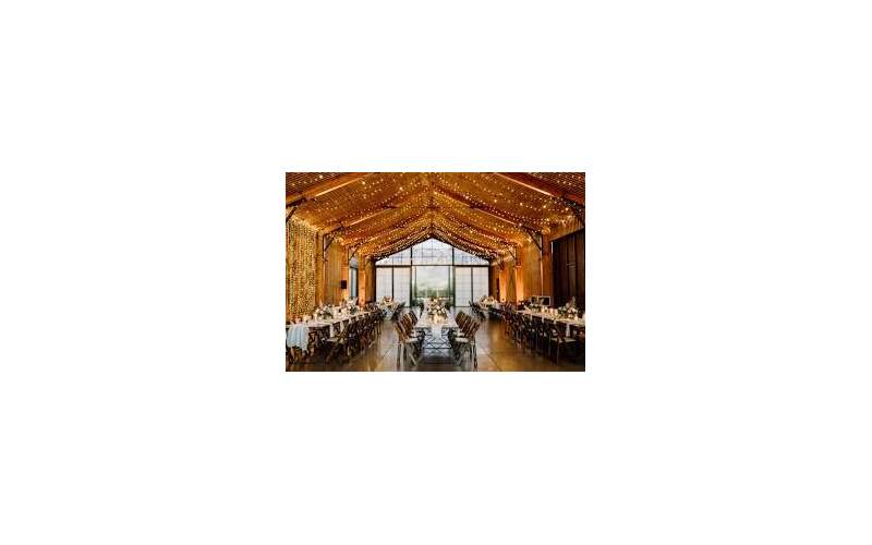 Unforgettable Wedding Venues in Alberta: Where Rustic Charm Meets Modern Elegance - guestts