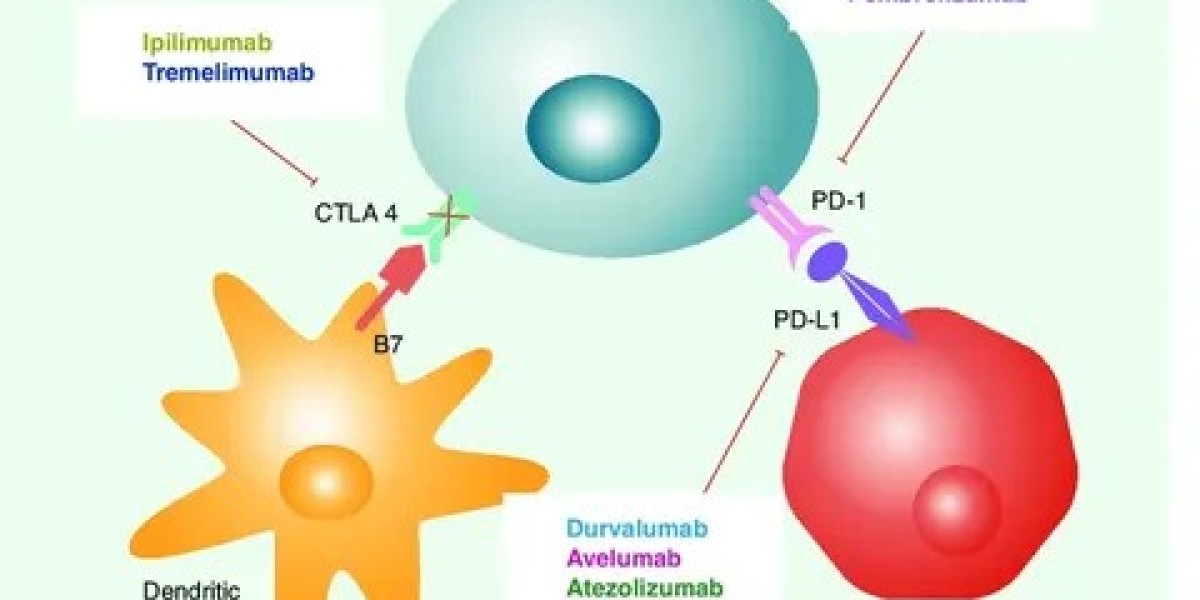 Avelumab Market by Region: North America, Europe, Asia-Pacific Forecast 2024-2034