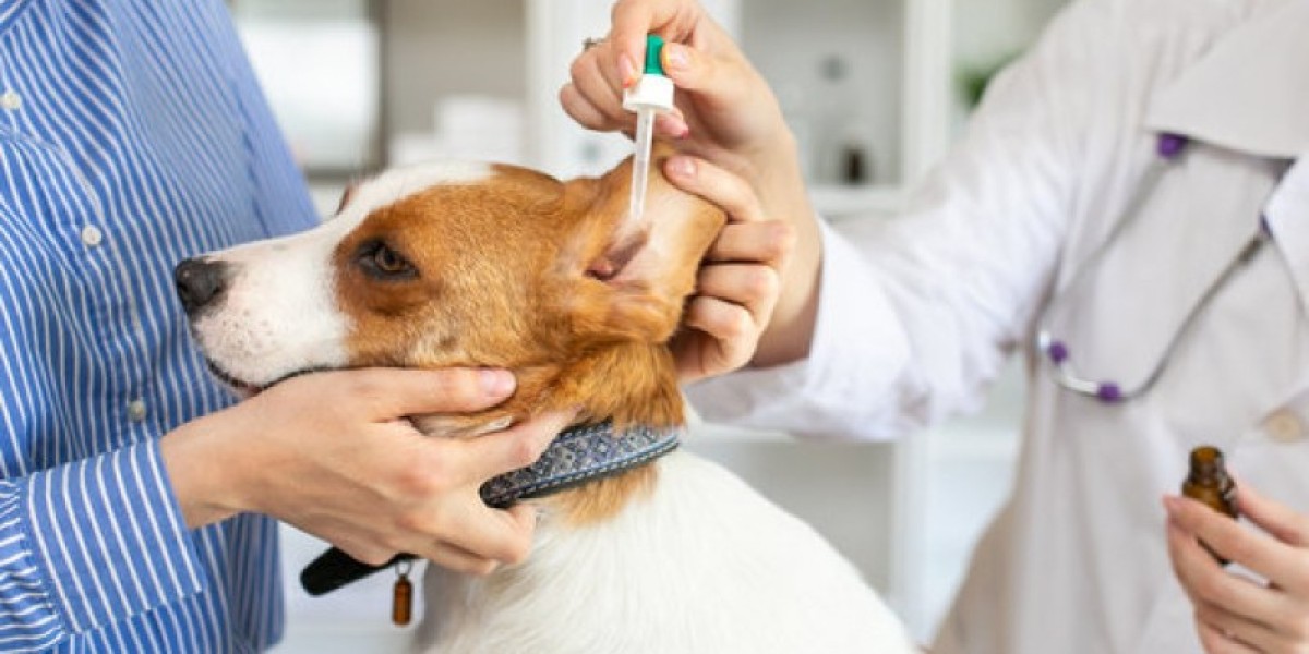 Diagnóstico Eficiente: O Papel Vital dos Laboratórios Veterinários na Saúde dos Animais