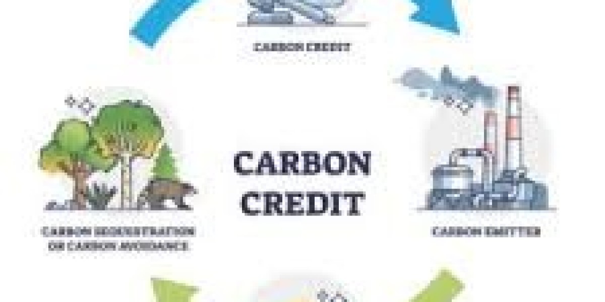 What are the potential downsides of carbon credit exchanges?