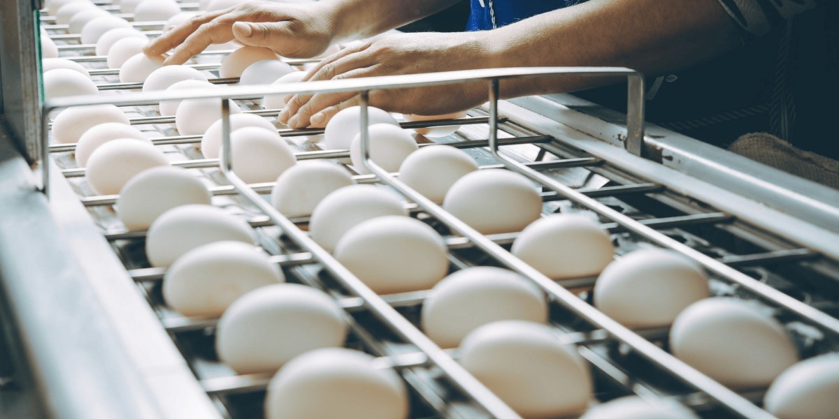 Egg Wash Alternative Market: A Rising Trend in the Food Industry