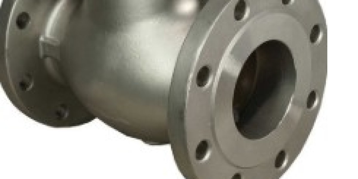 Check Valve Suppliers in India