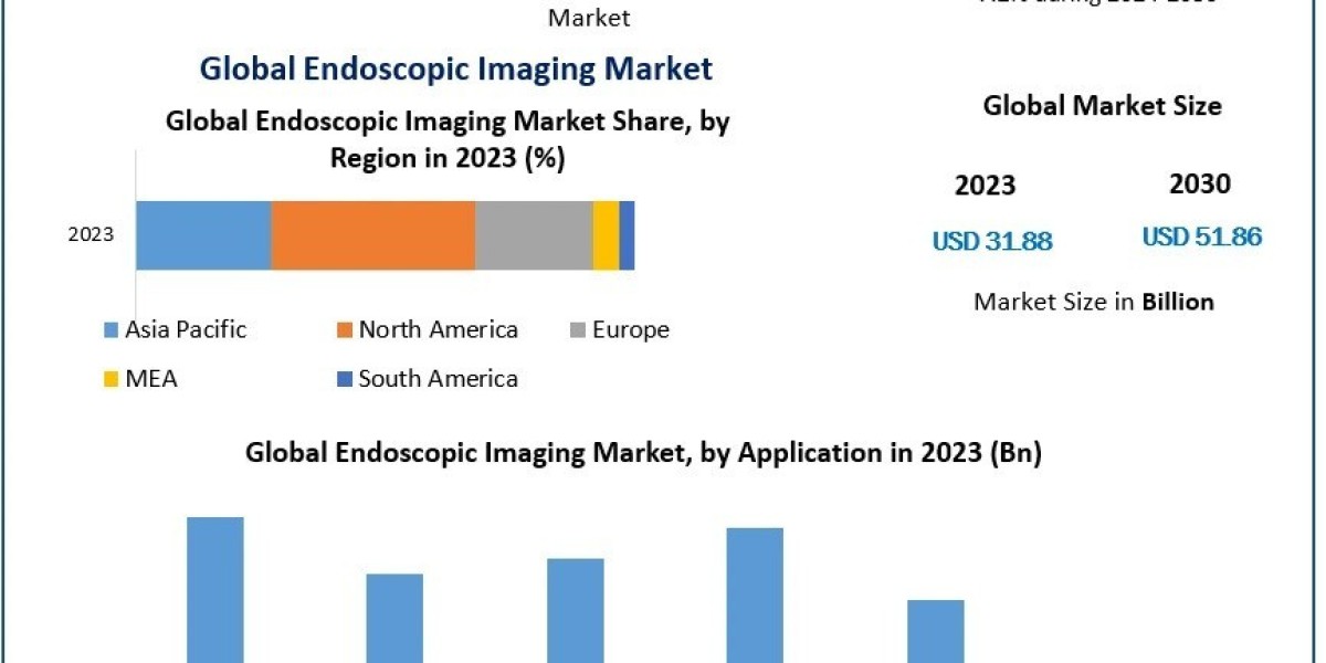 Endoscopic Imaging Market Size Expected Revenue, Future Growth And Industry Future