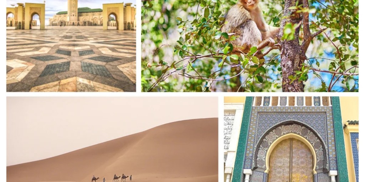 Morocco Imperial Cities Tours: Uncover History and Culture with Desert Discovery Tours