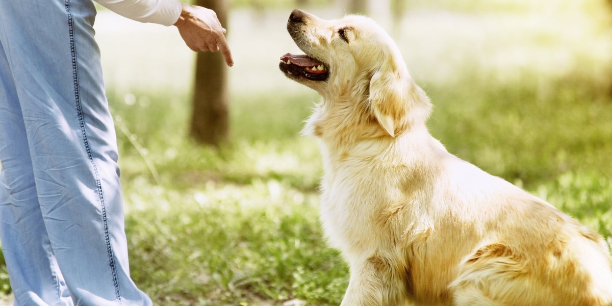 The Best Commands to Teach Your Golden Retriever Service Dog