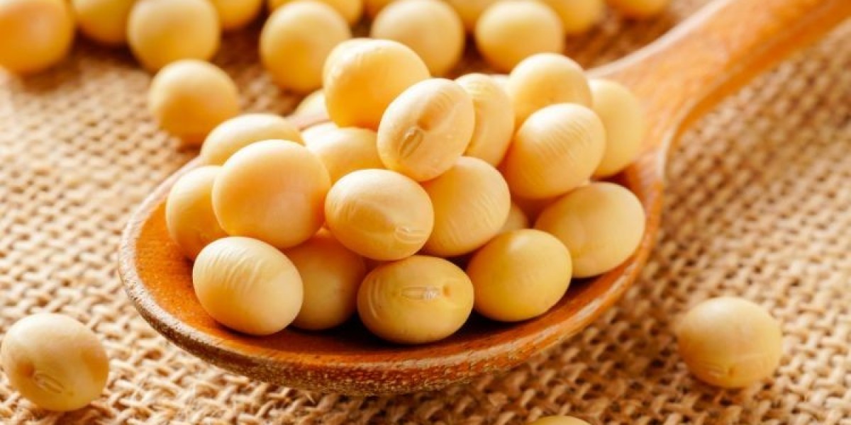 Soybean Market Trends, Insights, and Forecast (2025-2034)