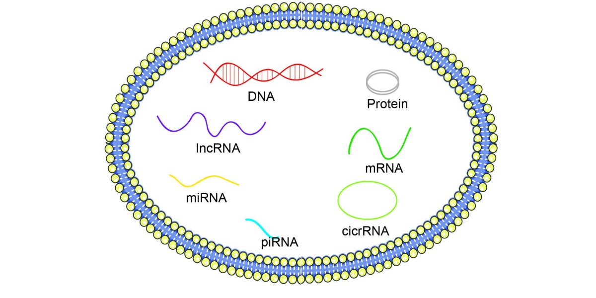 Comprehensive Solutions for Exosome DNA & RNA Isolation