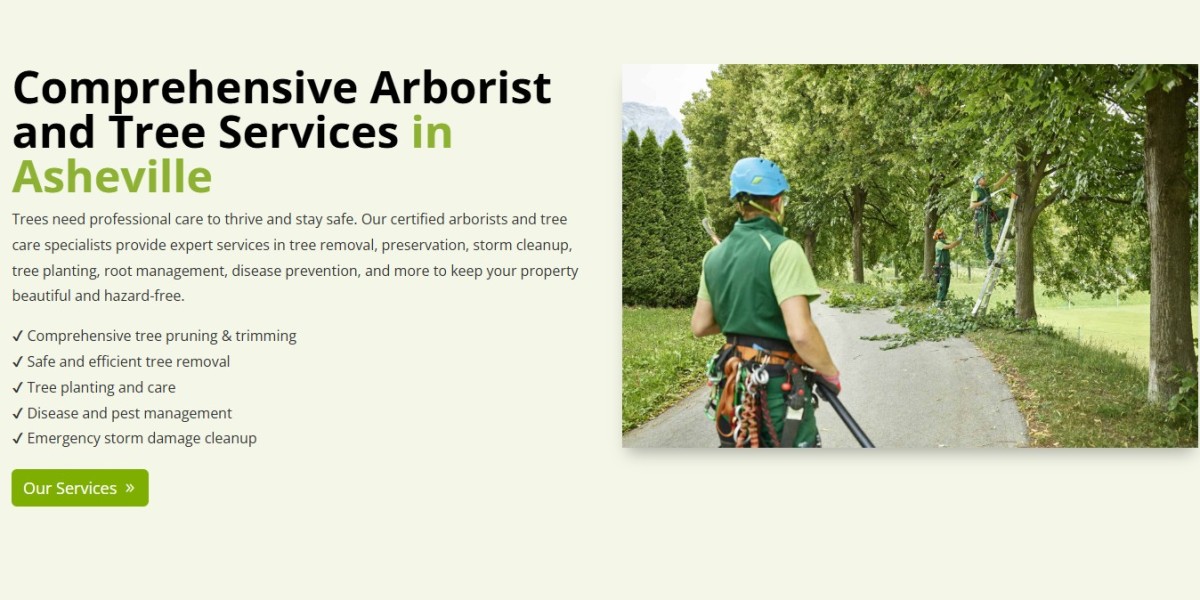 Asheville Arborist: Precision Arborcare – Expert Tree Care Services for Your Property