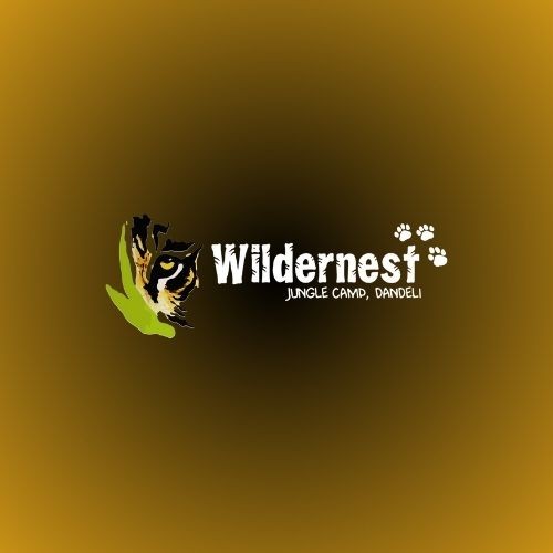 Wildernest Dandeli