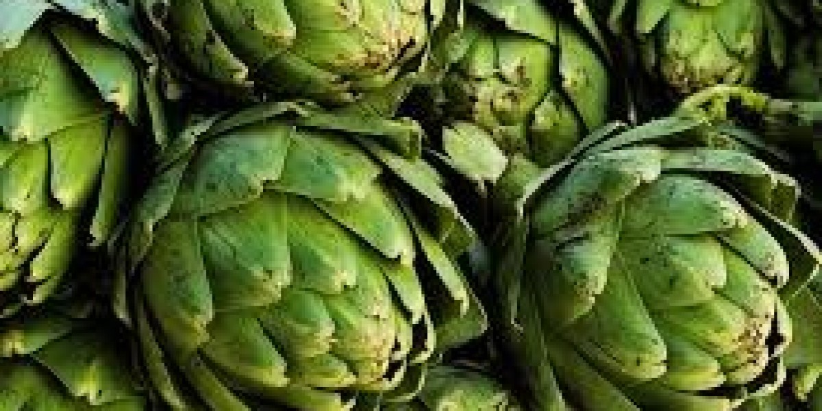 Navigating the Artichoke Market: Opportunities for Growers and Distributors