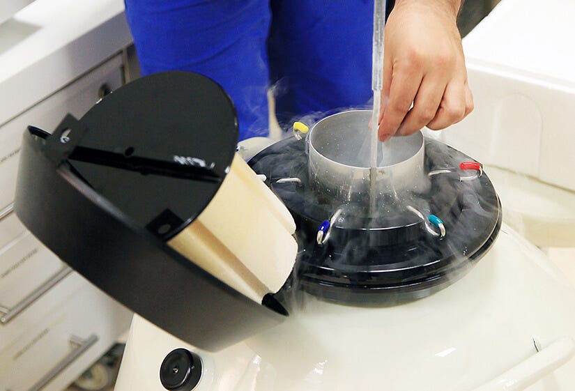How Many Eggs are needed to freeze for one baby? | by Dr. Rhythm Gupta | Feb, 2025 | Medium