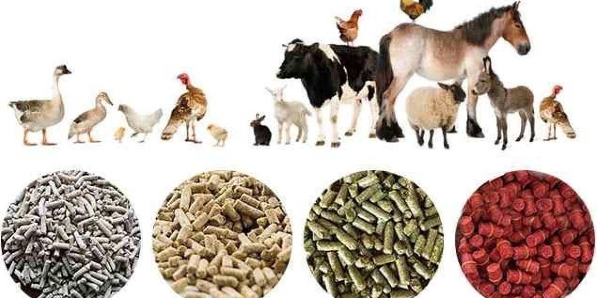 Animal Feed Probiotics Market Trends: Innovations Shaping Future of Animal Nutrition in 2025 and Beyond