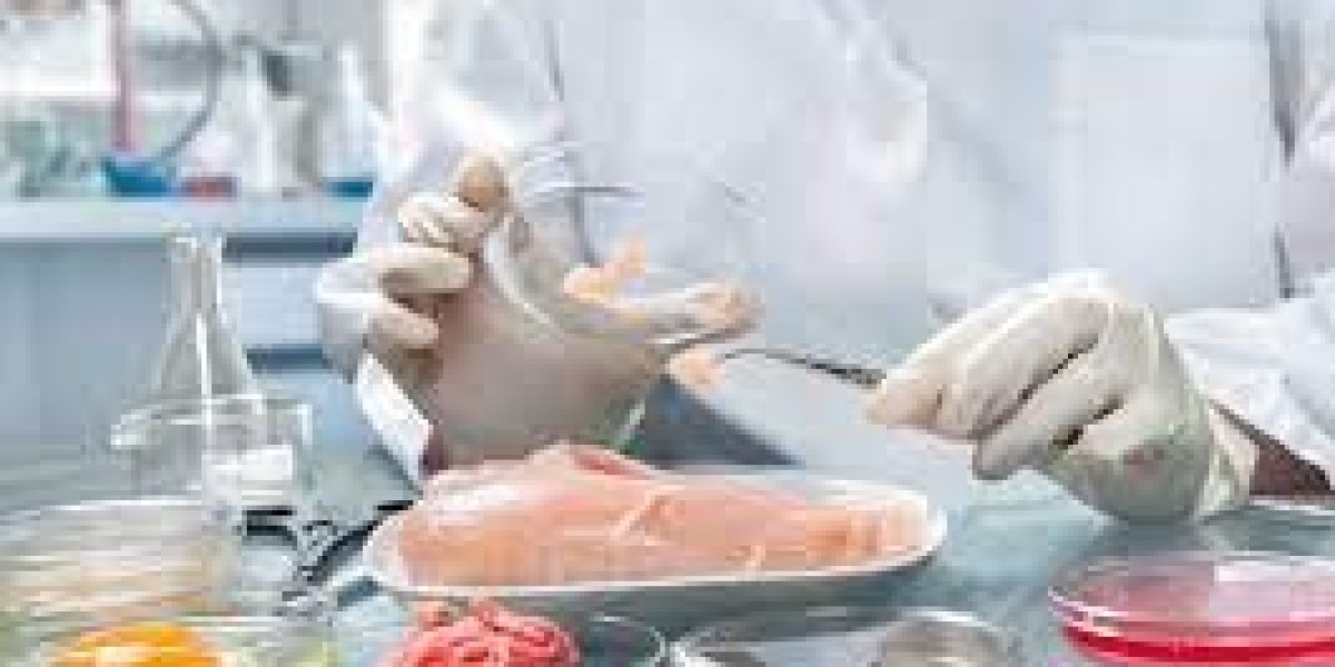 Food Safety Testing Market Segmentation, Regional Analysis, and Industry Forecast 2030