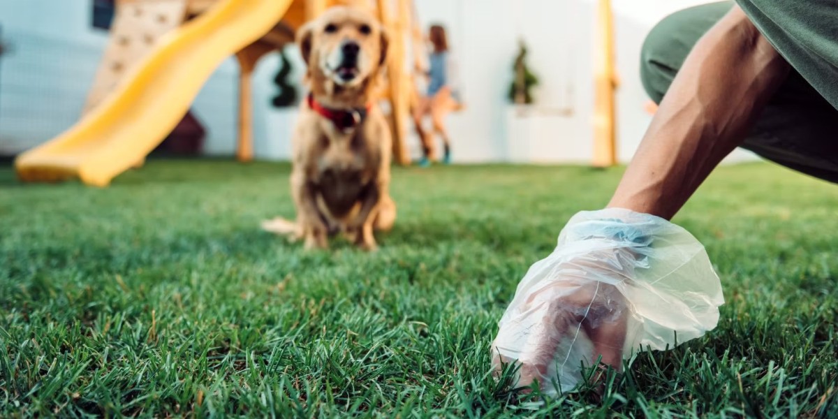 Creating a Cleaner Community with Pet Waste Removal Services