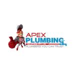 Apex Plumbing Services