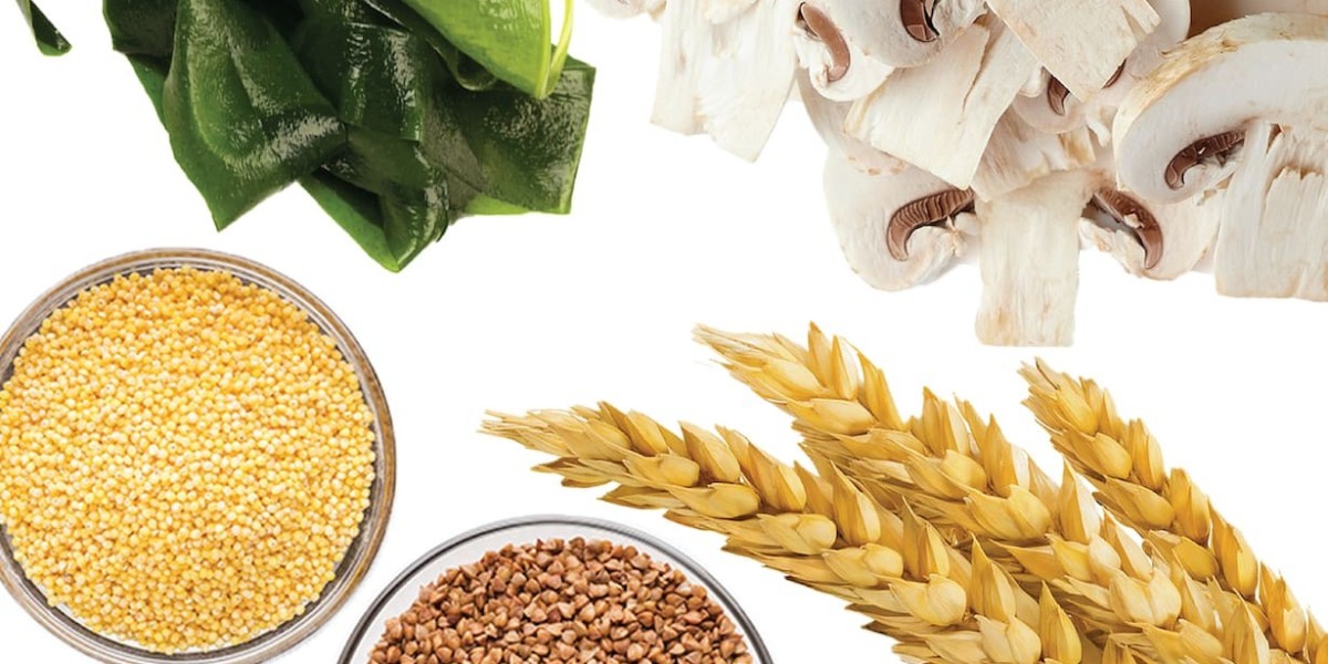 Beta-glucan Market Struggles with Regulatory Barriers and Consumer Education Issues