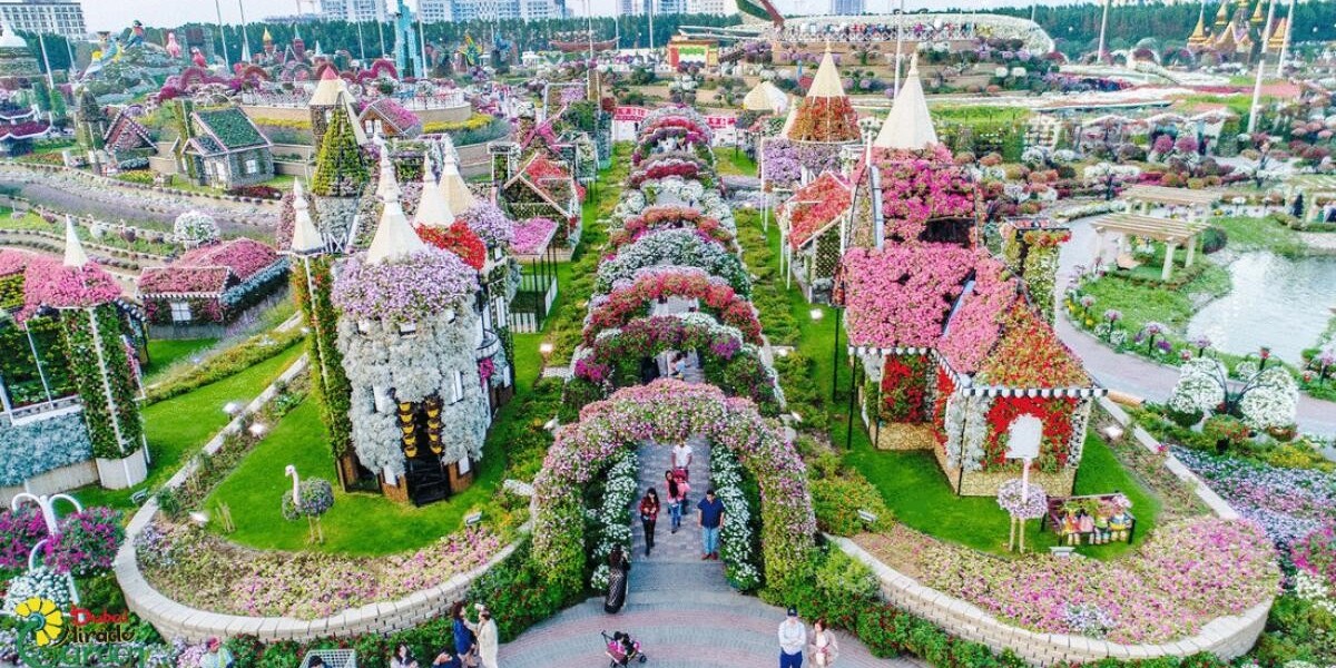 Dubai Miracle Garden: A Floral Wonderland in the Heart of Dubai