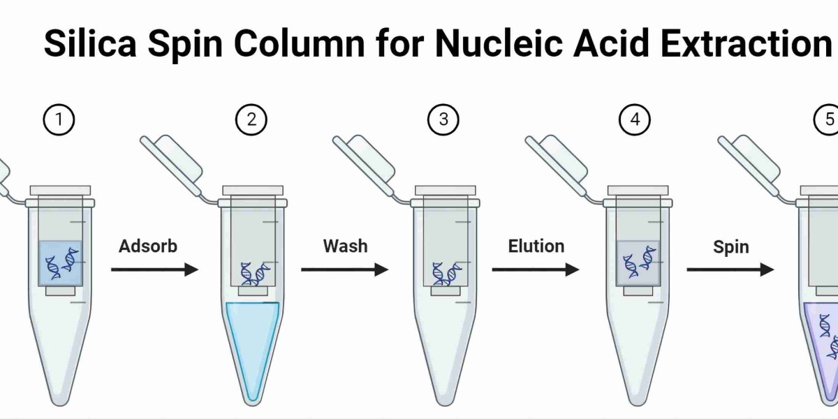 Silica Spin Column for Nucleic Acid Extraction