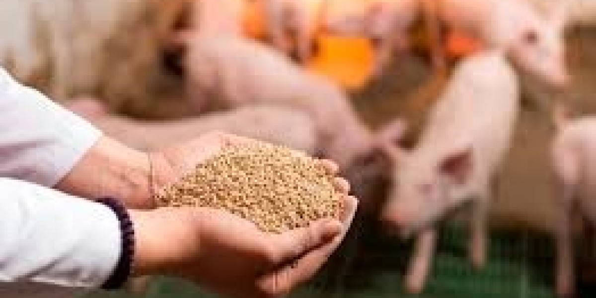 Animal Nutrition Market Strategies: Innovative Approaches to Ensure Livestock Health and Sustainable Growth