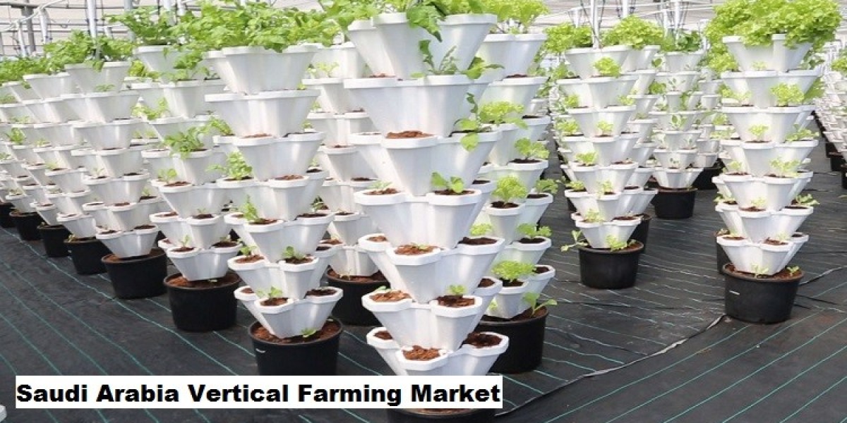 Saudi Arabia Vertical Farming Market: Key Trends and Future Growth