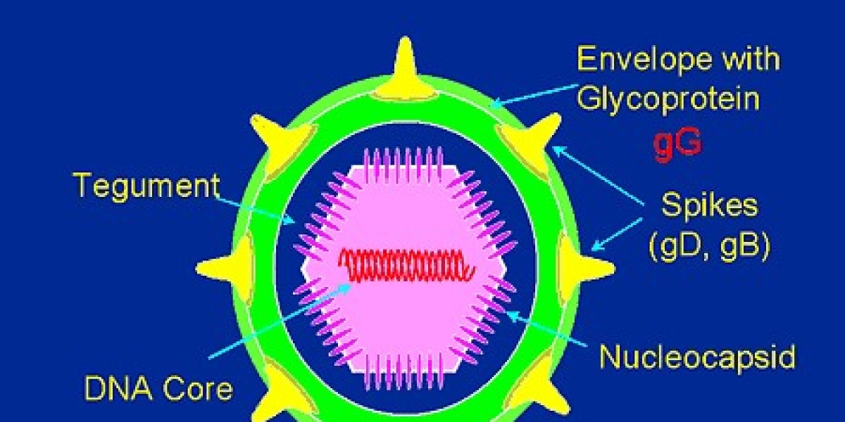 Herpes Simplex Virus (HSV) Testing Kit Market Analysis, Size, Share, Growth, Trends, and Forecasts by 2031