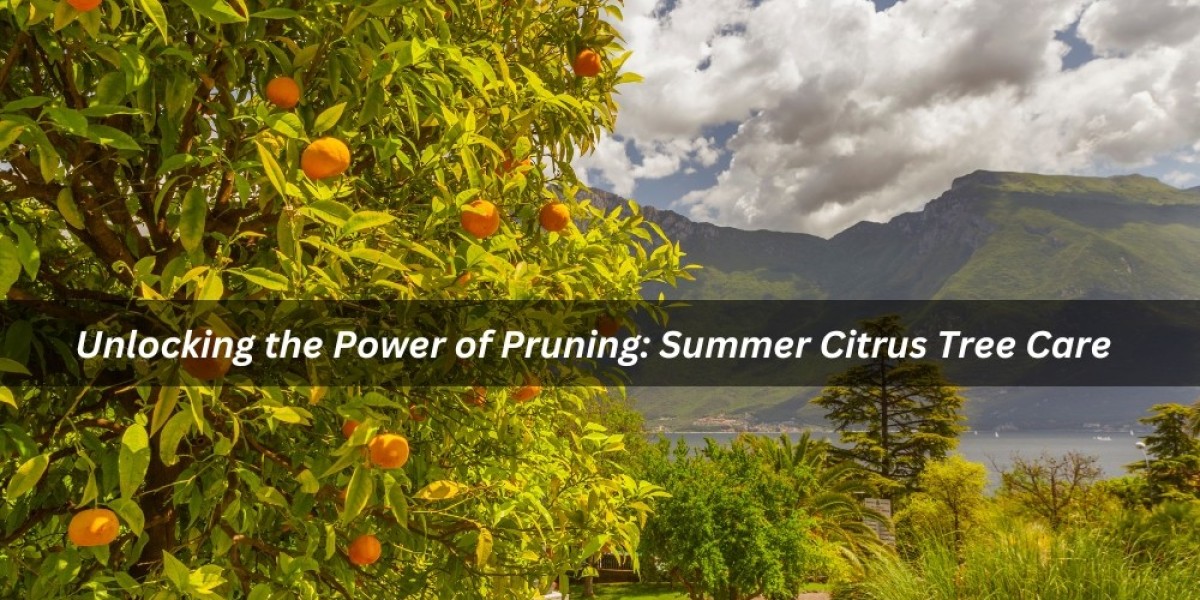 Unlocking the Power of Pruning: Summer Citrus Tree Care