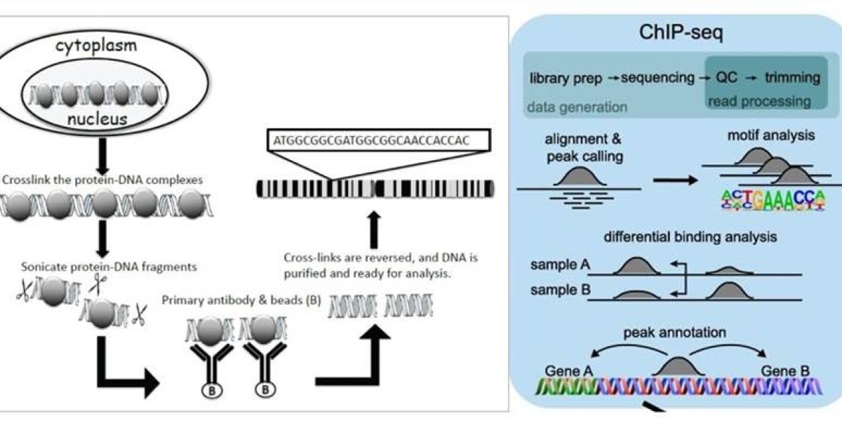 DAP-seq vs ChIP-seq