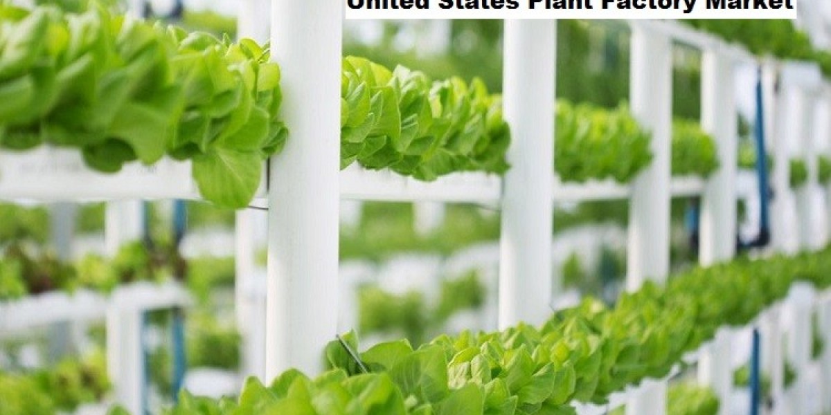 United States Plant Factory Market to Expand with Local Fresh Produce Demand