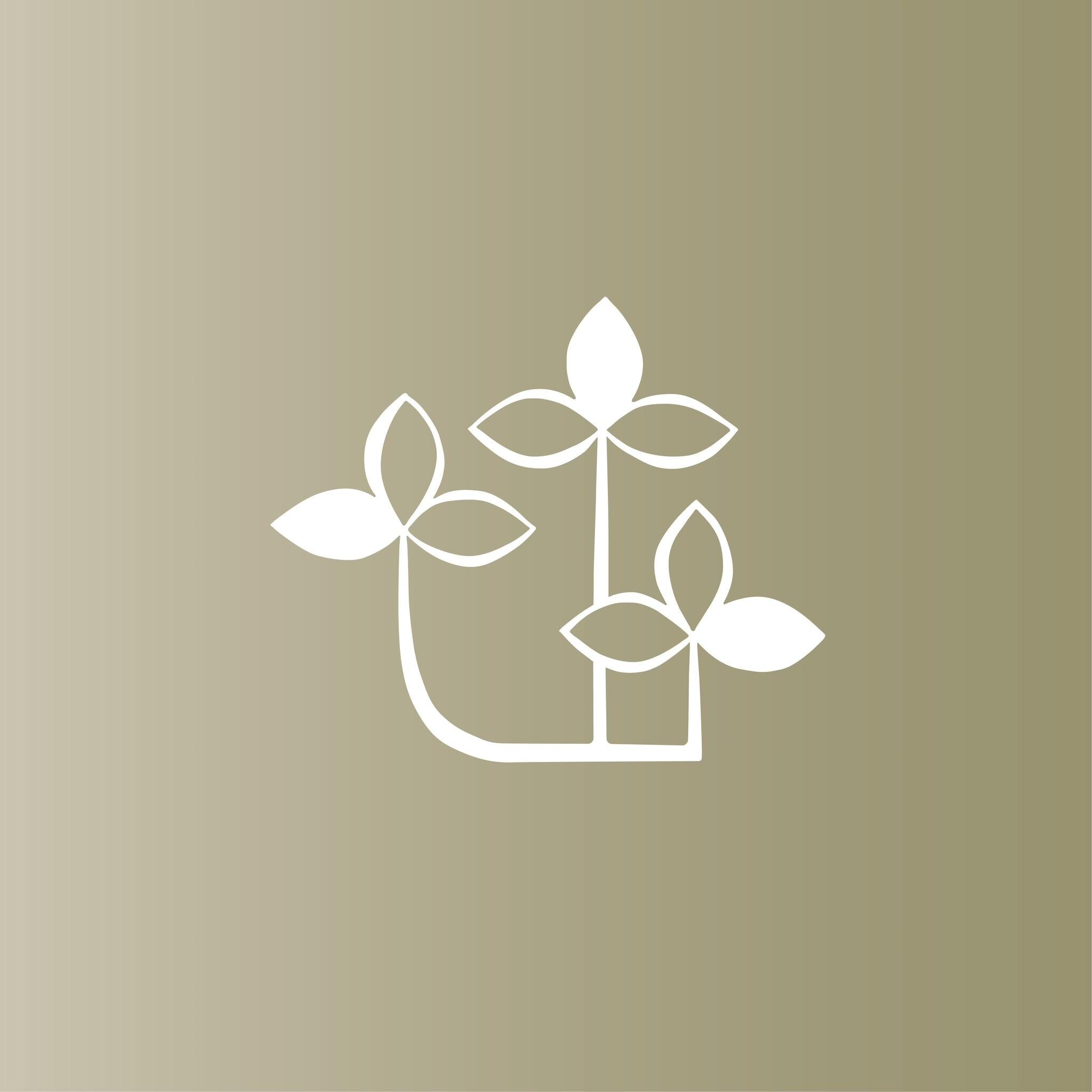 Beas Co A fashion brand from Kaia Designs LLP