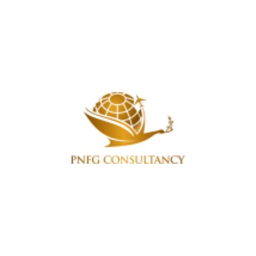 PNFG CONSULTANCY