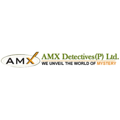 AMX DETECTIVE