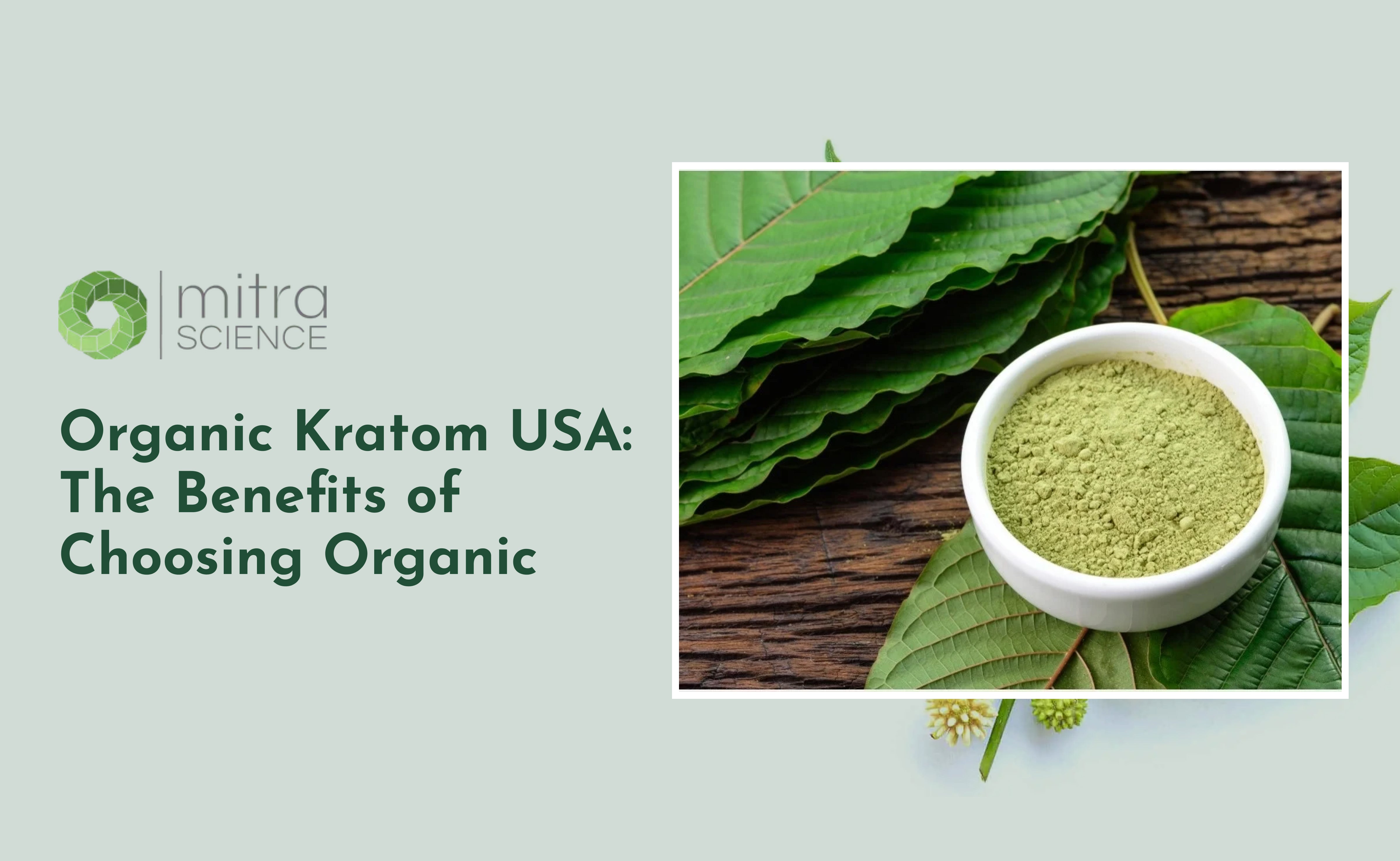 Organic Kratom USA: The Benefits of Choosing Organic  – mitrascience